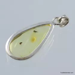 Baltic amber silver pendant w insect inclusion 5g