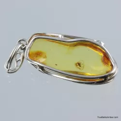 Baltic amber silver pendant w insect inclusion 9g