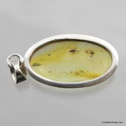 Baltic amber silver pendant w insect inclusion 5g
