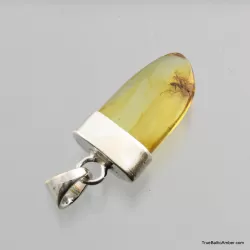 Baltic amber silver pendant w insect inclusion 4g