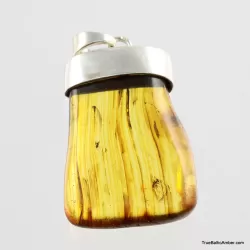 Baltic amber silver pendant w insect inclusion 10g