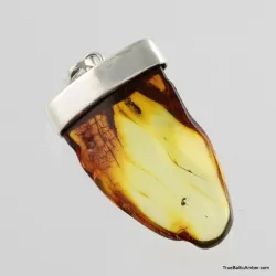 Baltic amber silver pendant w insect inclusion 10g