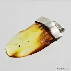 Baltic amber silver pendant w insect inclusion 10g