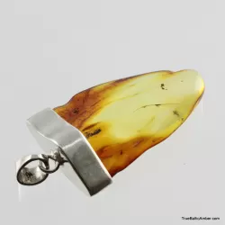 Baltic amber silver pendant w insect inclusion 10g