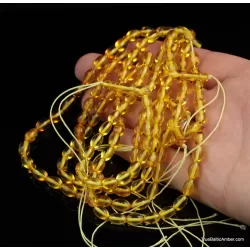 Lot of 5 Islamic 33 Baltic amber Prayer OLIVE beads