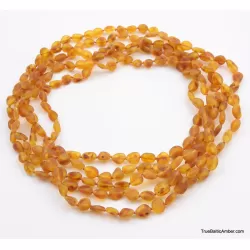5 Honey RAW BEANS Baltic amber adult necklaces
