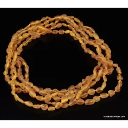5 Honey RAW BEANS Baltic amber adult necklaces
