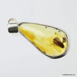 Baltic amber silver pendant w insect inclusion 4g