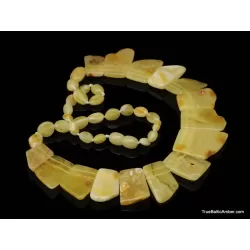 Butter pieces Baltic amber choker 18in