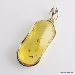 Baltic amber silver pendant w insect inclusion 9g