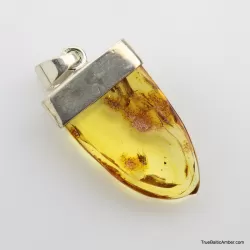 Baltic amber silver pendant w insect inclusion 9g