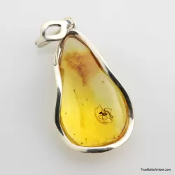 Baltic amber silver pendant w insect inclusion 10g