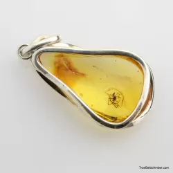 Baltic amber silver pendant w insect inclusion 10g