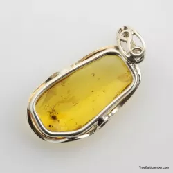 Baltic amber silver pendant w insect inclusion 7g