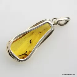 Baltic amber silver pendant w insect inclusion 8g