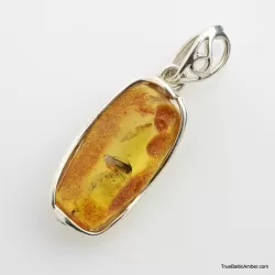 Baltic amber silver pendant w insect inclusion 5g