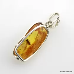 Baltic amber silver pendant w insect inclusion 5g