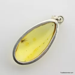 Baltic amber silver pendant w insect inclusion 8g