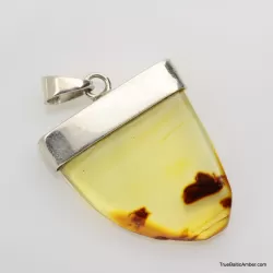 Baltic amber silver pendant w insect inclusion 10g
