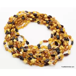 10 Multi BEANS Baltic amber adult wholesale necklaces 21in