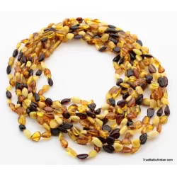 10 Multi BEANS Baltic amber adult wholesale necklaces 21in