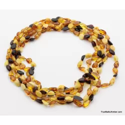 5 Multi BEANS Baltic amber adult wholesale necklaces 21in