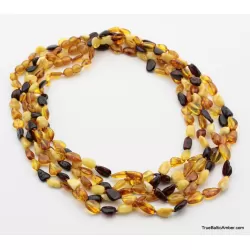 5 Multi BEANS Baltic amber adult wholesale necklaces 21in