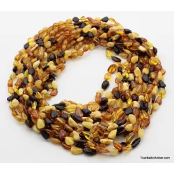 13 Multi BEANS Baltic amber adult wholesale necklaces 21in