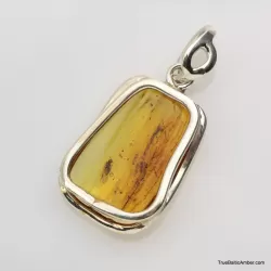 Baltic amber silver pendant w insect inclusion 7g