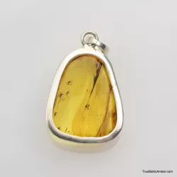 Baltic amber silver pendant w insect inclusion 7g