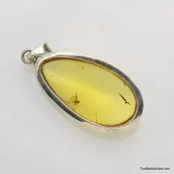 Baltic amber silver pendant w insect inclusion 8g
