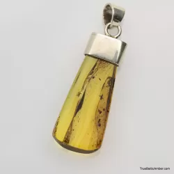 Baltic amber silver pendant w insect inclusion 5g