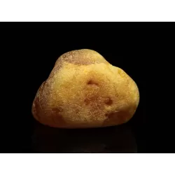 Natural Genuine Baltic Amber Sea Stone 41g