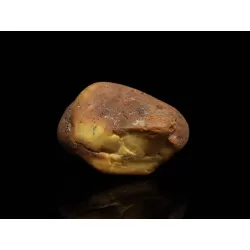 Natural Genuine Baltic Amber Sea Stone 27g