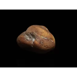 Natural Genuine Baltic Amber Sea Stone 27g