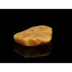 Natural Genuine Baltic Amber Sea Stone 13g