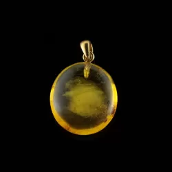 Drop Baltic amber pendant w insect inclusion