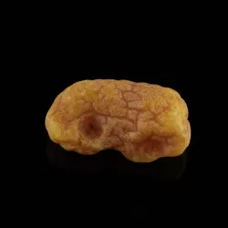 Natural rare Baltic amber resin drop with cracks