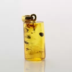 Cylinder shape Baltic amber Gold plated pendant w insects