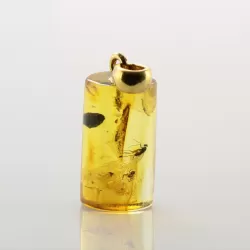 Cylinder shape Baltic amber Gold plated pendant w insects