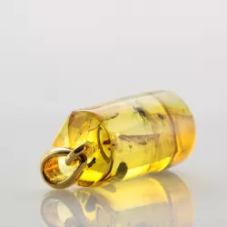 Cylinder shape Baltic amber Gold plated pendant w insects