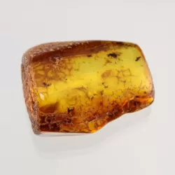 Swarm Insect inclusions in Baltic amber fossil stone