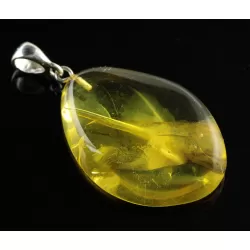 Rare Stalactite Fossil Free-Shaped Baltic Amber Pendant