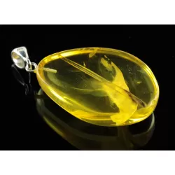 Rare Stalactite Fossil Free-Shaped Baltic Amber Pendant