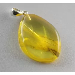 Rare Stalactite Fossil Free-Shaped Baltic Amber Pendant