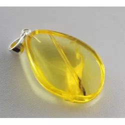 Rare Stalactite Fossil Free-Shaped Baltic Amber Pendant