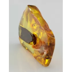 Insect inclusions in Baltic amber fossil stalactite stone