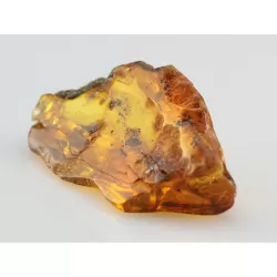 Insect inclusions in Baltic amber fossil large stone