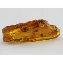 Insect inclusions in Baltic amber fossil large stone