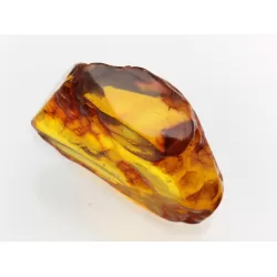 Insect inclusions in Baltic amber fossil large stone